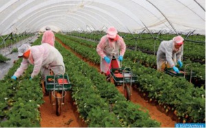 Les autorités consulaires de Séville se rendent auprès des saisonnières marocaines