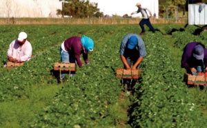 Le surplace insolite d’une régularisation à l’italienne
