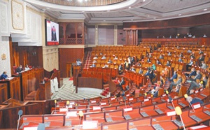 La coopération maroco-hongroise au menu d' une visioconférence à la Chambre des représentants