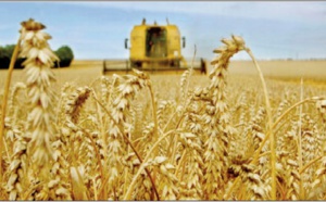 Dame nature creuse les sillons d’ une bonne année agricole