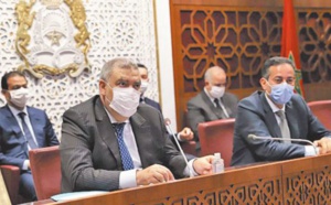 Abdelouafi Laftit : Le projet de loi sur les usages licites du cannabis vise à améliorer les revenus des agriculteurs