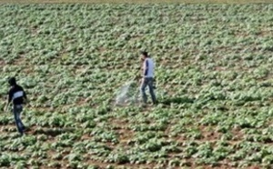 Le Qatar propose un accord «argent contre nourriture» au Maroc