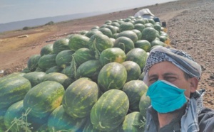La pastèque de Zagora destructrice du sol et de la nappe phréatique
