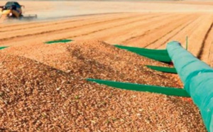 Des mesures incitatives à la commercialisation de la production céréalière