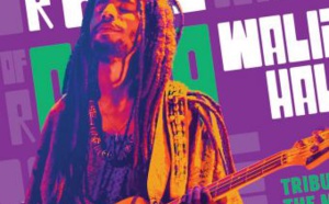 Walid Halimi rend hommage au célèbre Tony Allen