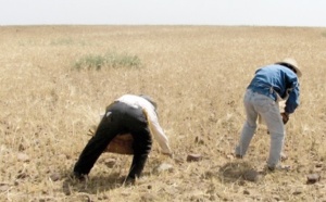 Le think tank BMI revoit à la hausse ses prévisions de croissance Le think tank BMI revoit à la hausse ses prévisions de croissance