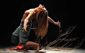 Le Festival de danse moderne fête son 30ème anniversaire à Vienne