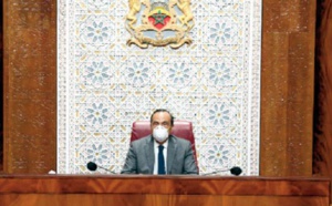 Habib El Malki affirme l'adhésion de la Chambre des représentants à la mise en œuvre du NMD