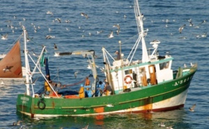Hausse des débarquements  de la pêche côtière