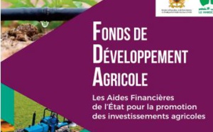 Dynamique soutenue des projets d’investissement agricole à Fès et Moulay Yacoub