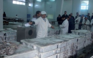 Grève à la halle aux poissons de Laâyoune