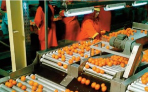 L’agroalimentaire enregistre une performance remarquable