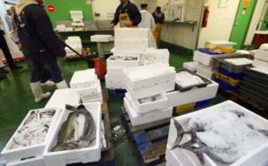 Les mareyeurs disent non à Akhennouche
