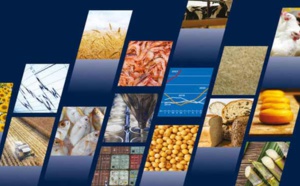 Le commerce mondial des produits alimentaires sous le signe de la résilience