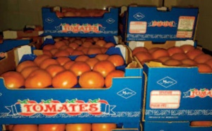 Avis de tempête sur les exportations agrumicoles ?