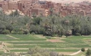 Démantèlement d’un réseau de trafic d’argent à Tinghir