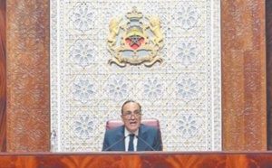 Habib El Malki : La décision Royale de faciliter le retour des MRE au pays, un geste humanitaire profondément significatif