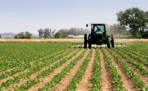 La campagne agricole 2020-2021 reste sur les bons rails