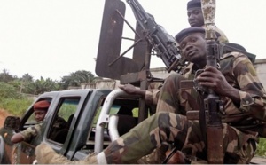 Soldats et bulldozers pour reconquérir les forêts ivoiriennes