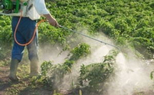 La FAO met en garde contre les dangers des pesticides