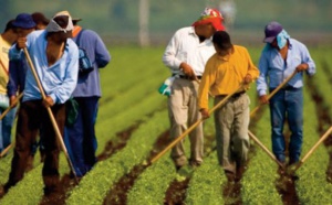 Les travailleurs migrants internationaux représentent 4,9% de la main-d’ œuvre mondiale