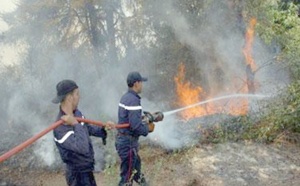 Feu de forêt à Amskroud