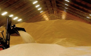 Les stocks mondiaux de céréales devraient enregistrer leur première hausse depuis 2017-2018