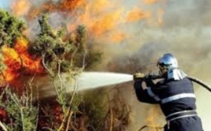 Réunion de travail sur l’incendie d’Amskroud