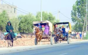 La charrette, reine de la route à Mohammedia