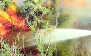 Feu de forêt à Khénifra