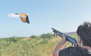 C’ est parti pour la chasse de la tourterelle