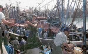 Hausse des débarquements de la pêche côtière et artisanale Hausse des débarquements de la pêche côtière et artisanale
