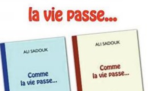 Ali Sadouk dans ses Mémoires : Points communs