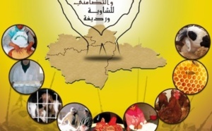 Settat organise le salon régional de l'économie sociale et solidaire