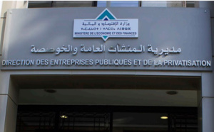 La pandémie a eu des impacts "différenciés" sur le secteur des EEP