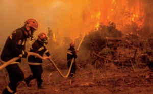 Accalmie sur le front des incendies d'Eubée