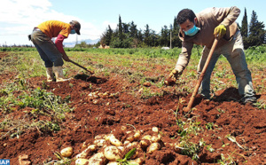 Oujda-Angad : “Génération Green ” entend créer 2,5 millions de journées de travail supplémentaires