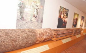 Maison de la cédraie d’Azrou: Un microcosme écologique au cœur du Moyen Atlas
