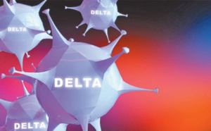 Le désespoir du Delta du Japon