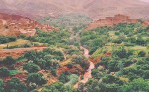 La bataille de Boufekrane, une épopée épique dans la lutte pour l'indépendance