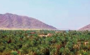 "Terre de mon pays" , une œuvre riche en symboles