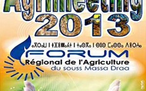 Agadir accueillera le premier forum régional «Agrimeeting»