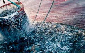  Hausse de la valeur des produits commercialisés de la pêche côtière et artisanale