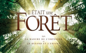 Le filon bien encombré du film sur l’ environnement