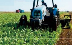 L'expérience marocaine en matière d’innovation agricole mise en avant à Rom