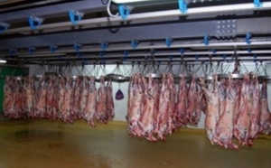 Les abattoirs de Casablanca ouverts le jour de l’AïdLes abattoirs de Casablanca ouverts le jour de l’Aïd