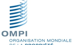 L’AMACPI acquiert le statut de membre d’observateur permanent à l’OMPI à Genève L’AMACPI acquiert le statut de membre d’observateur permanent à l’OMPI à Genève