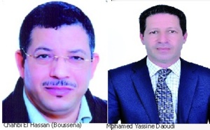 Elections partielles