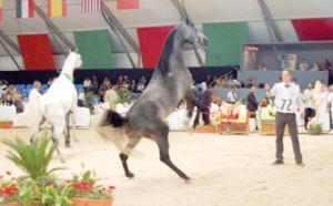 Quelque 250.000 visiteurs pour la 6ème édition