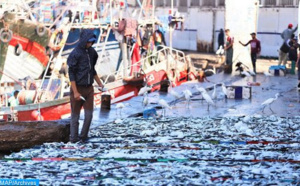 Hausse de 29% en valeur des produits de la pêche à Safi